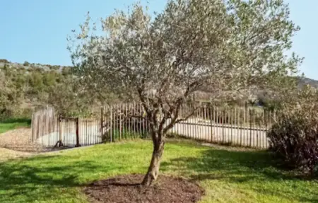 Maison 8 personnes à Lussan - Photo 13
