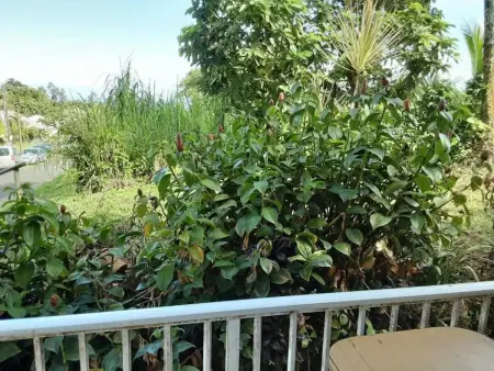 Appartement avec piscine à Capesterre-Belle-Eau - Photo 40