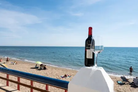 CT 398 - Faro's Beachfront House in Calahonda, Maison de vacances en bord de mer à Malaga - Photo 17
