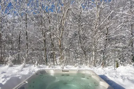 Amelie, Chalet rustique de luxe aux Bois - Photo 22