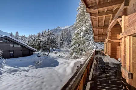 Capricorne, Chalet de montagne avec jacuzzi et sauna - Photo 21