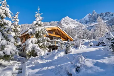 Black Stone, Chalet de luxe + pâtisseries & nettoyage quotidien - Photo 7