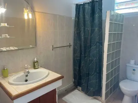 Appartement à Deshaies avec vue mer et piscine (50 m²) - Photo 6