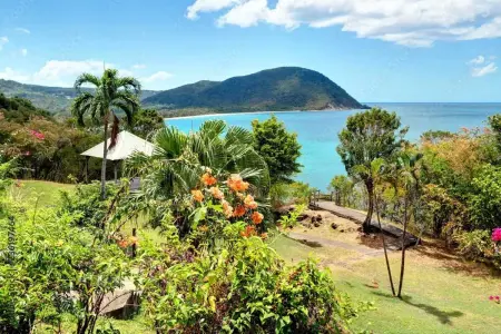 Appartement moderne avec vue sur la mer à Deshaies 25 m² - Photo 10