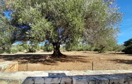 Maison 5 personnes à Ostuni - Photo 6