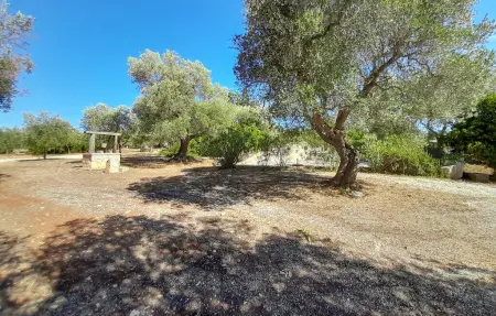 Maison 5 personnes à Ostuni - Photo 15