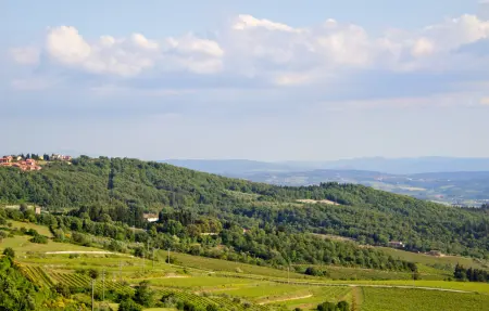 Maison 16 personnes à Castellina in Chianti - Photo 49