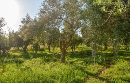 Appartement 5 personnes à Marina di Ragusa - Photo 7