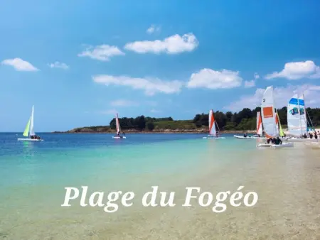 Maison neuve à Arzon, 4 chambres, proche plage, animaux admis - Photo 28