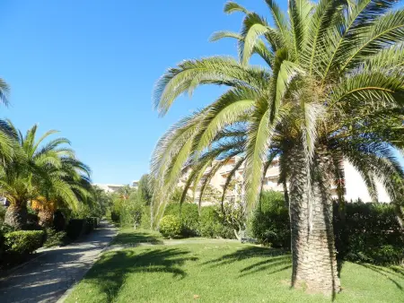 Appartement 2 pièces avec piscine et plage à Bormes-les-Mimosas - Photo 14