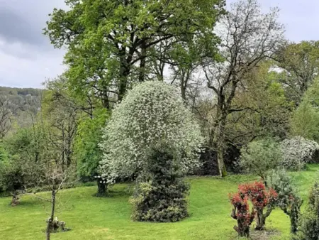 Chez Rambaud, Gîte moderne dans Haut Vienne avec grand jardin - Photo 25