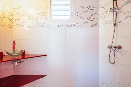 Complexe entier-Résidence-Villa-Salle de Bain amenagée-Vue mer, Villa en Guadeloupe avec piscine extérieure - Photo 26