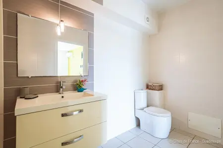 Complexe entier-Résidence-Villa-Salle de Bain amenagée-Vue mer, Villa en Guadeloupe avec piscine extérieure - Photo 30