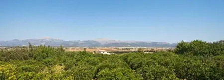 Villa moderne avec piscine privée à Muro 300 m² - Photo 26