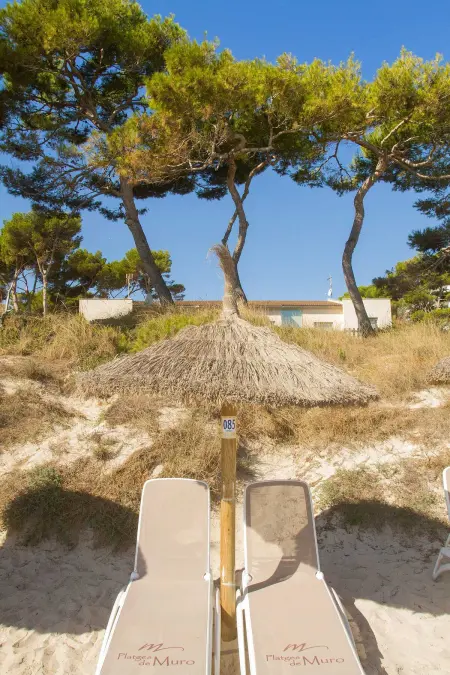 Charmante villa près de la mer à Muro 220 m², Maison 6 personnes à Muro - Photo 39
