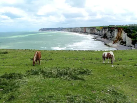 La Ferme, Gite 5 personnes à Normanville - Photo 15