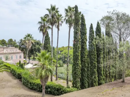 Villa Le Palme, Appartement 6 personnes à Rio Marina - Photo 33