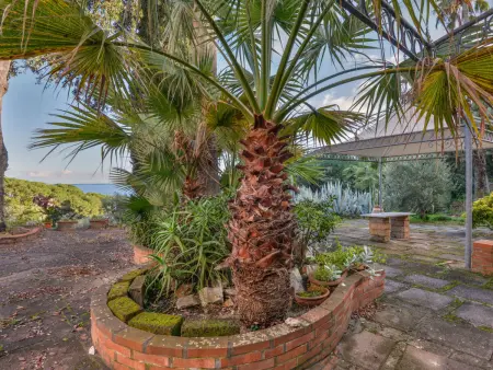 Villa Le Palme, Appartement 6 personnes à Rio Marina - Photo 35