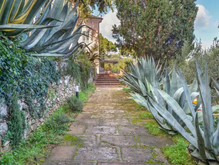 Villa Le Palme, Appartement 6 personnes à Rio Marina - Photo 37