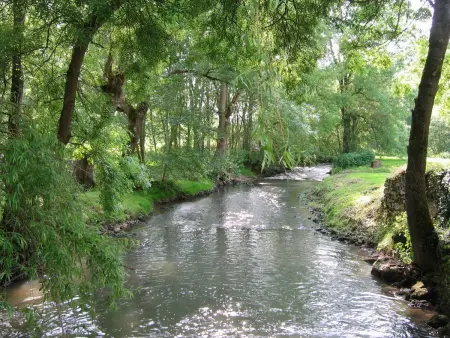 Moulin de Charme au Cœur du Berry, Proche Étang et Châteaux - Photo 25
