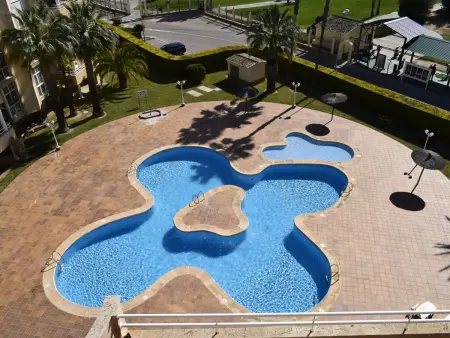 Appartement spacieux 3 chambres avec solarium privé et piscine à Oliva Nova - Photo 3