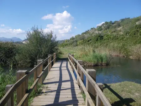Appartement romantique à Oliva avec piscine commune et parking - Photo 21