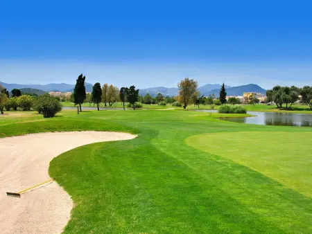 Chalet Luxueux à Oliva Nova Golf avec Jardin et Confort Moderne - Photo 30
