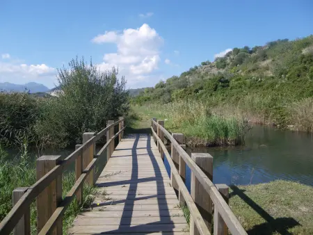 Chalet Luxueux à Oliva Nova Golf avec Jardin et Confort Moderne - Photo 31