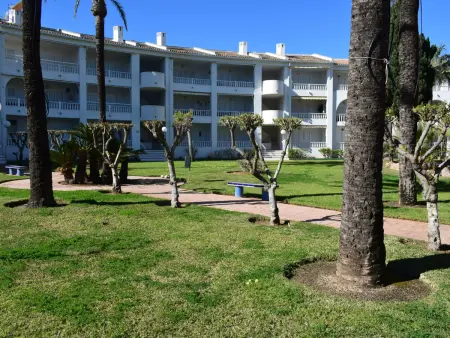 Appartement accueillant à Oliva Nova, à 40m de la plage - Photo 21