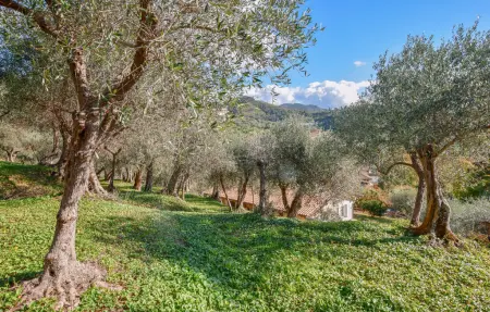 Maison 4 personnes à Massarosa - Photo 6