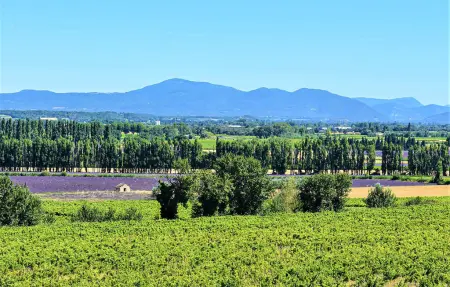 VILLA LA MARQUISE, Maison 6 personnes à Grignan - Photo 16