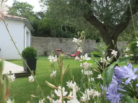 Maison familiale de 6 pers à 50m de la plage à La Flotte - Photo 25