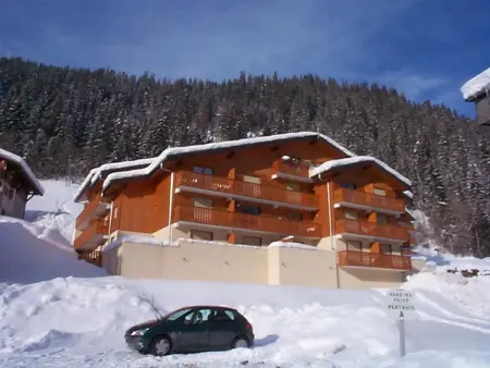 Appartement cosy à Châtel avec balcon, 3 chambres, wifi, garage - Photo 14