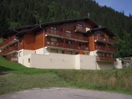 Appartement cosy à Châtel avec balcon, 3 chambres, wifi, garage - Photo 15