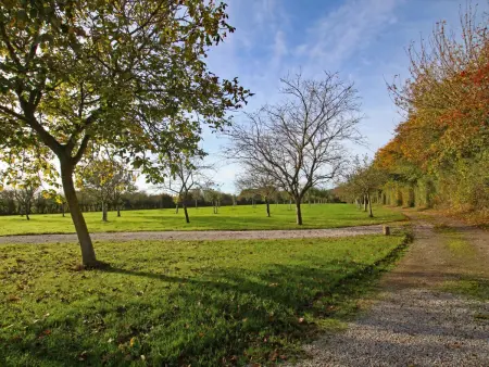 Maison Normande Authentique, Nature et Sérénité - Photo 16