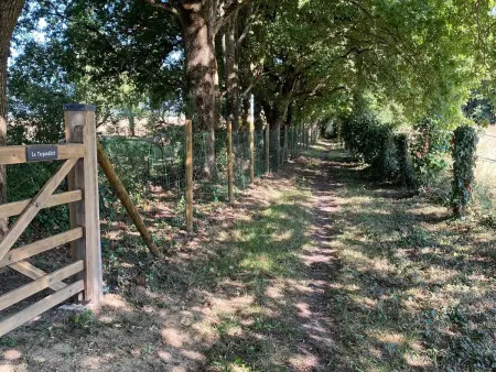 Gîte confortable à la campagne, 2 chambres, vue dégagée - Photo 30
