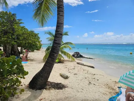 Appartement spacieux avec vue sur mer à Sainte-Anne - Photo 11