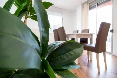 Appartements à Puerto de Sagunto, Appartement à Puerto de Sagunto Plage - Photo 26