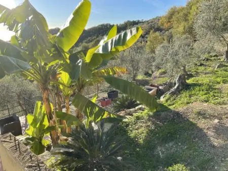 Bellaria (VLO190), Maison 8 personnes à Valloria - Photo 18