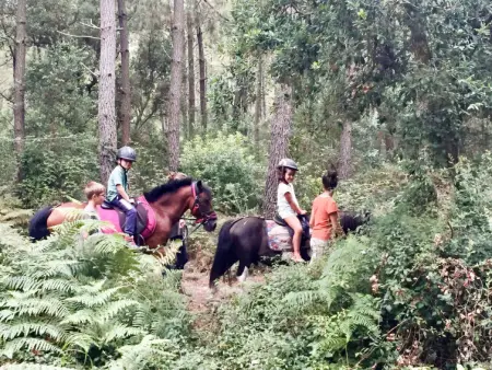 Blue Océan Chalet Club 4-5, Maison 4 personnes à Ondres - Photo 9