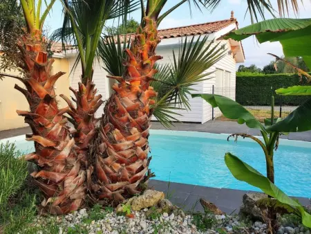 Sun House, Maison 6 personnes à Civrac en Médoc - Photo 11