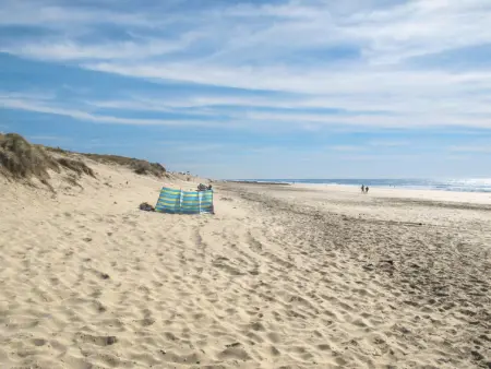 Sun House, Maison 6 personnes à Civrac en Médoc - Photo 16
