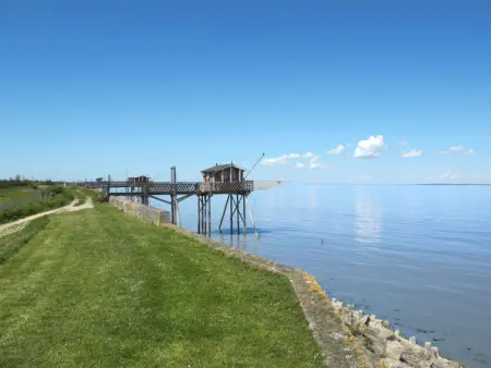 Sun House, Maison 6 personnes à Civrac en Médoc - Photo 19