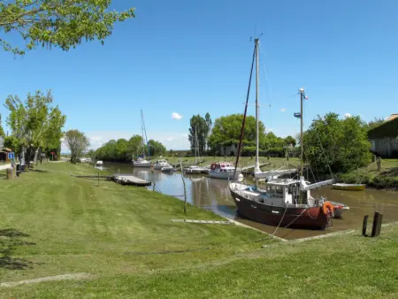 Sun House, Maison 6 personnes à Civrac en Médoc - Photo 21