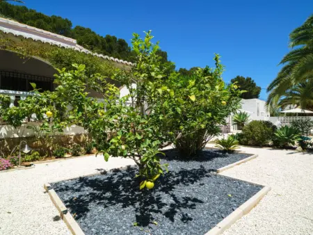 El Palmeral, Villa 6 personnes à Javea - Photo 32