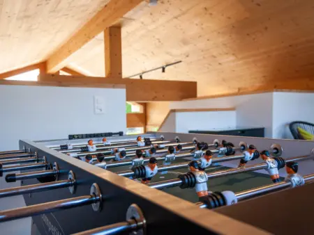 Les penguins, Chalet 8 personnes à Nendaz - Photo 31