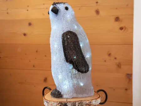 Les penguins, Chalet 8 personnes à Nendaz - Photo 33