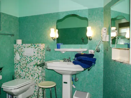 Panorama Lakeview Lago Maggiore, Maison 6 personnes à Ronco sopra Ascona - Photo 28