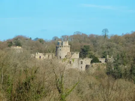 Le Guernevez, Maison 6 personnes à Ploubezre - Photo 37