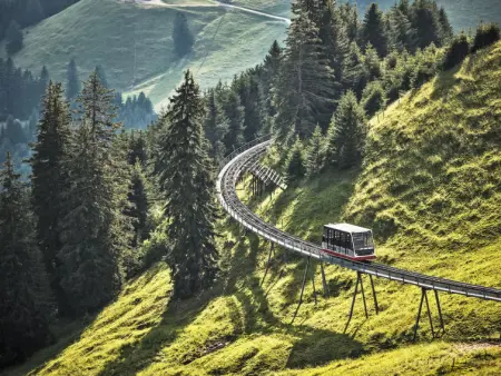 Henri, Chalet 4 personnes à Moléson sur Gruyères - Photo 31
